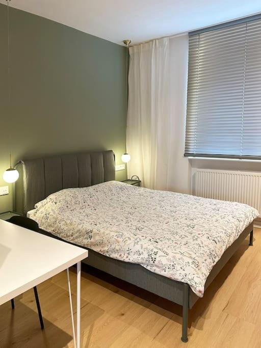 Inteligentne Przy Starym Rynku Lägenhet Poznań Exteriör bild